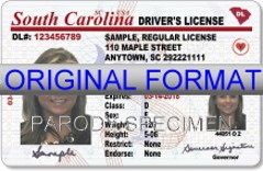 drivers license security features pdf